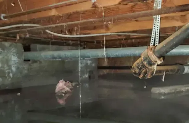 Standing water pooled under the floor joists of a flooded crawl space