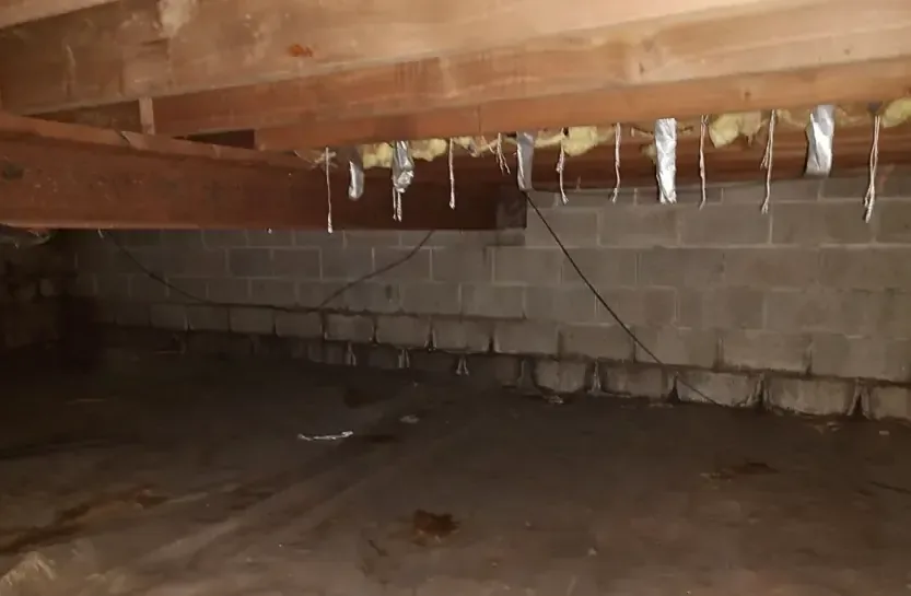 Icicles hanging from pipes along the joists of a crawl space after a hard freeze