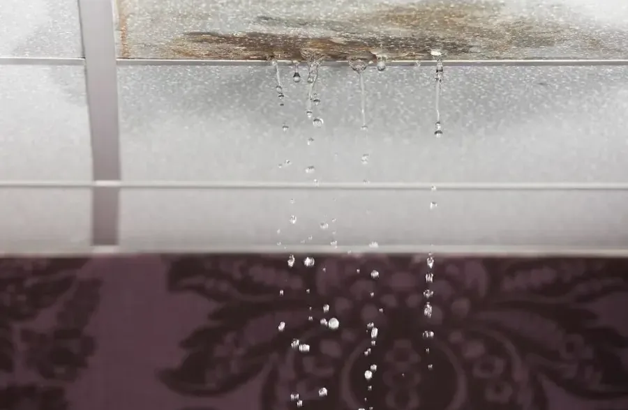 Rainwater dripping from a stained ceiling under a roof leak